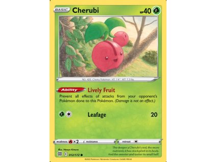12 cherubi