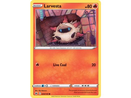 24 larvesta