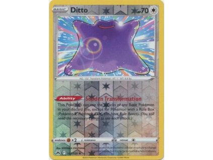 107 Ditto