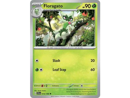 14 floragato
