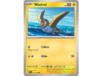 77 wattrel
