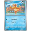 46 buizel