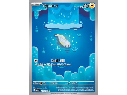 tynamo 113