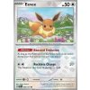 Eevee (xPRE 074) MasterBall