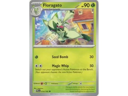014/193 Floragato (Barva Reverse holo)