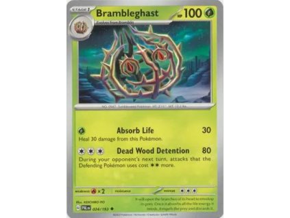 024/193 Brambleghast (Barva Reverse holo)