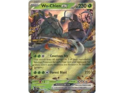 17611 027 193 wo chien ex