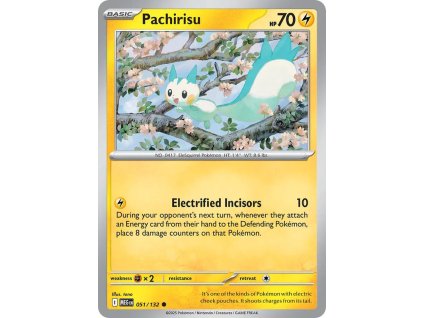 051/132 Pachirisu (Barva Reverse holo)