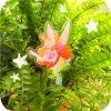 Giselle & Nayani plant pot standee