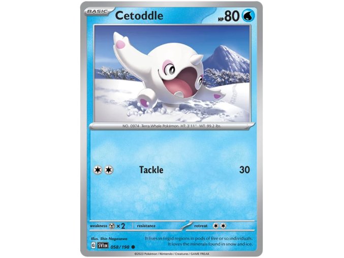 Cetoddle.SV1EN.58