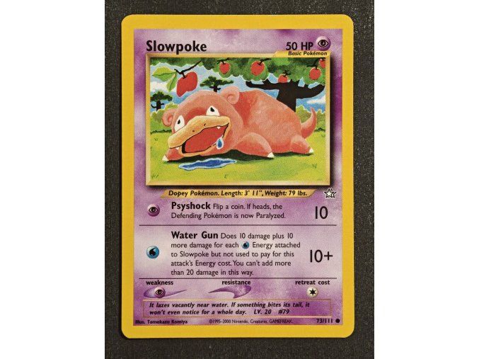 Slowpoke 73/111