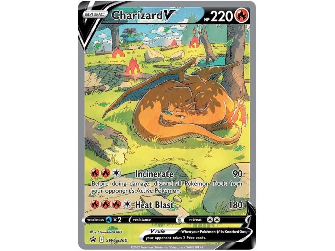 Charizard V.SWSH.260
