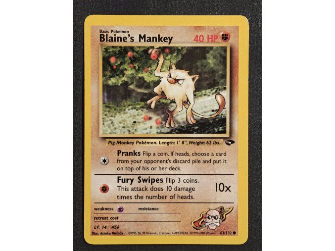 Blaine's Mankey 63/132