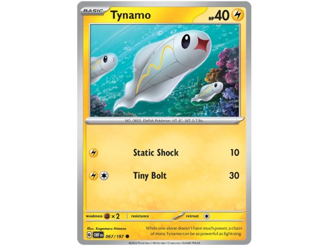 Tynamo.OBF.67