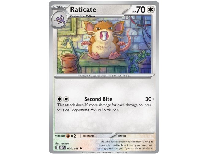 Raticate.MEW.20