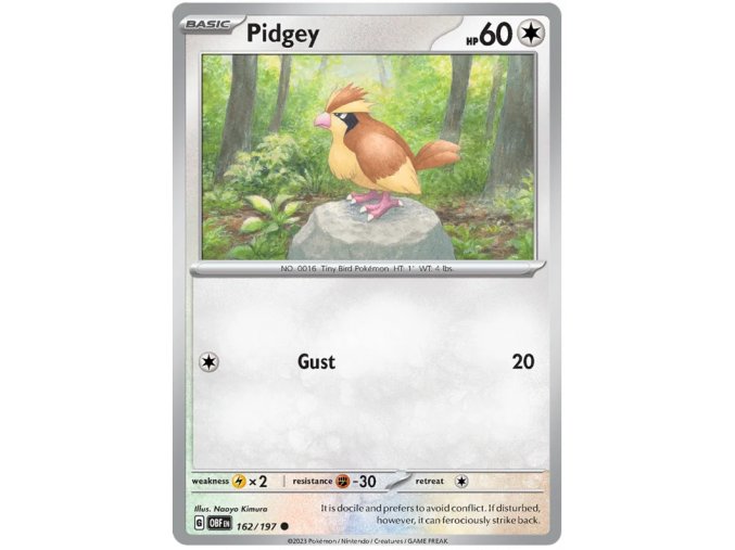 Pidgey 162/197