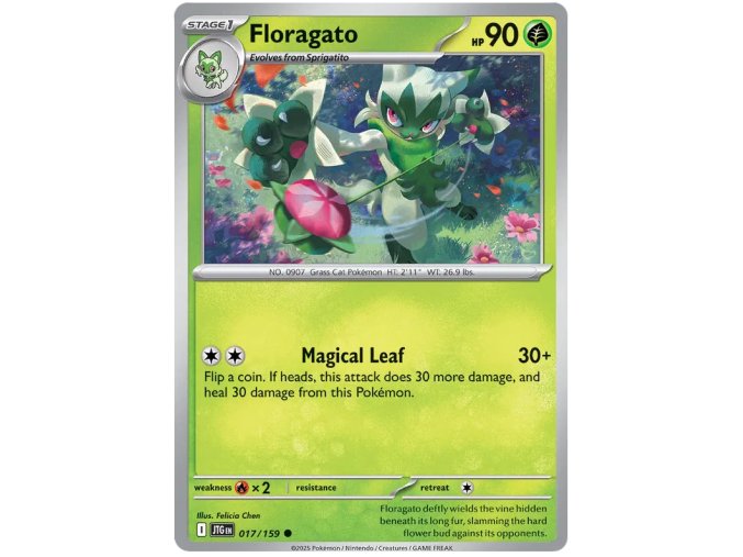 Floragato.JTG.17.56691