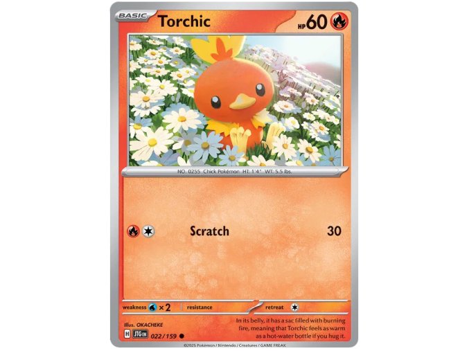 Torchic.JTG.22.56696