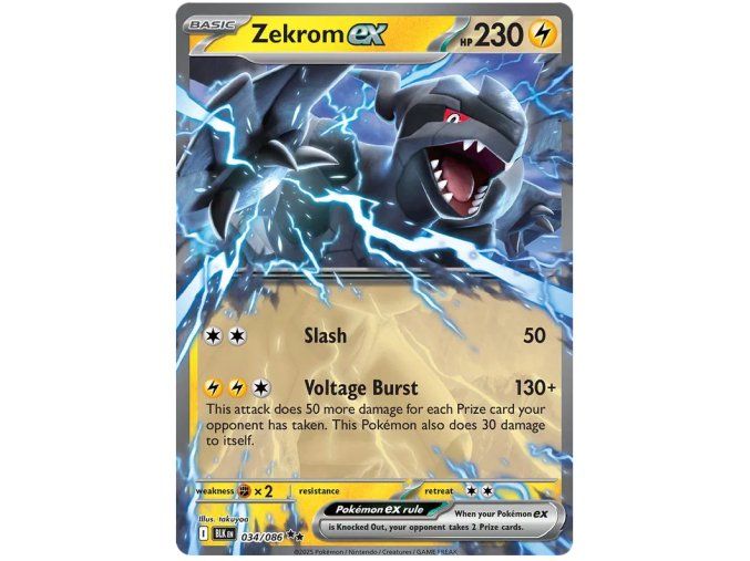 Zekrom ex.BLK.34.58217