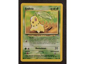 Endivie 54/111 (Chikorita)