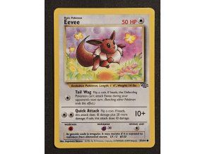 Eevee 51/64