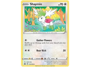Shaymin.SWSH13