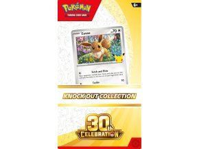 Pokemon TCG 30th Celebration Knock Out Collection copy