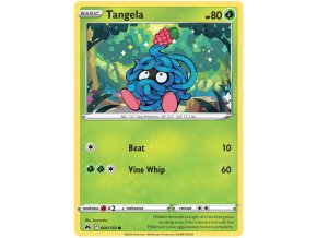 angela.SWSH13.4