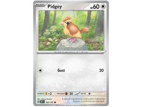Pidgey 162/197