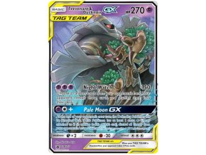 Trevenant Dusknoir GX.SM.217.30144