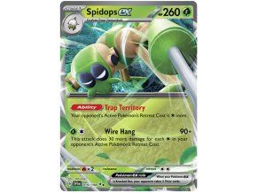 Spidops ex.SV1EN.19.47017