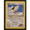 Koga's Pidgey 49/132