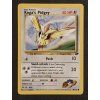 Koga's Pidgey 80/132
