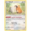 Bidoof.SWSH13.111
