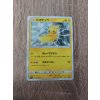 Pikachu 016/049