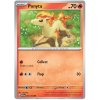 Ponyta.MEW.77
