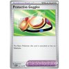 Protective Goggles 164/165 - Reverese Holo