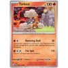 Torkoal.TWM.30.53185