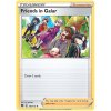 Friends in Galar.SWSH09.140.42840
