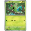 Caterpie.JTG.1.56675