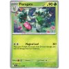 Floragato.JTG.17.56691