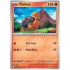Torkoal.JTG.25.56699