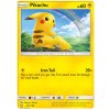 Pikachu 28
