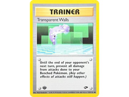 Transparent Walls 125.132 1.ed