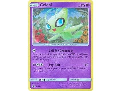 Celebi SM224