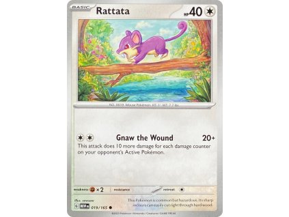 Rattata 019.165