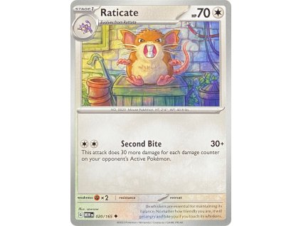 Raticate 020.165