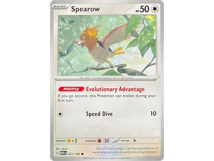 Spearow 021.165
