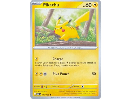 Pikachu 025.165