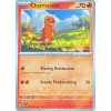 Charmander 007
